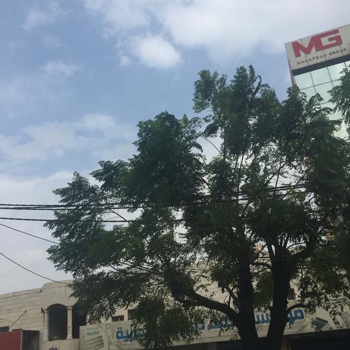 My Crowdsourcing Posts