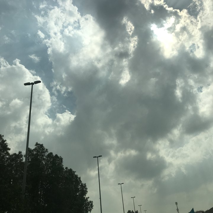 مشاركاتي في أنت الراصد