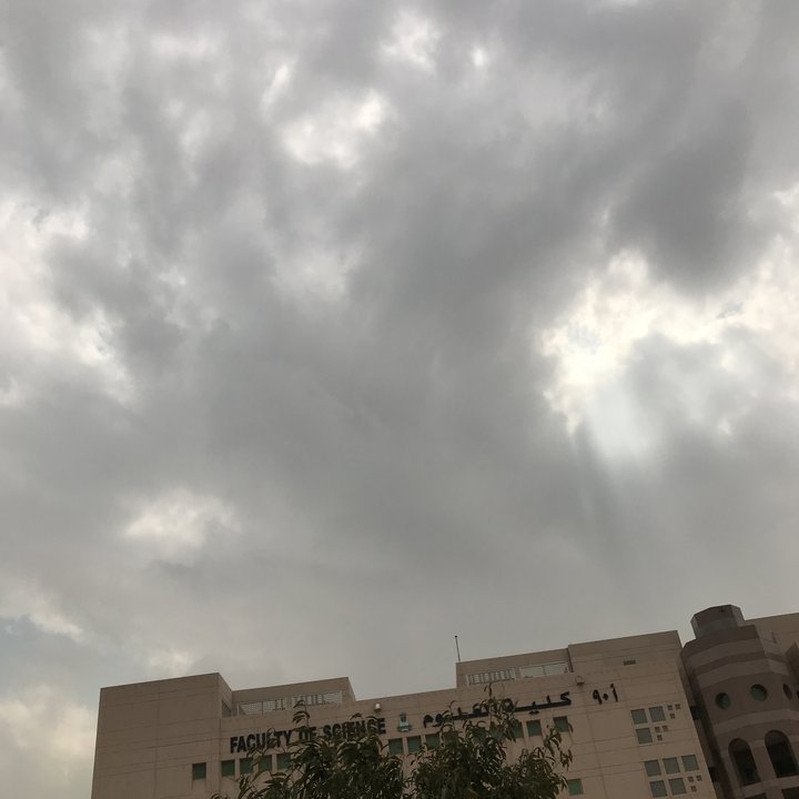 مشاركاتي في أنت الراصد