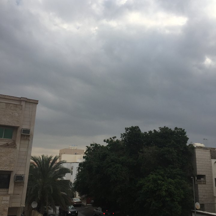 مشاركاتي في أنت الراصد