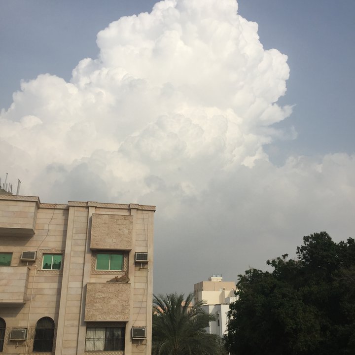 مشاركاتي في أنت الراصد