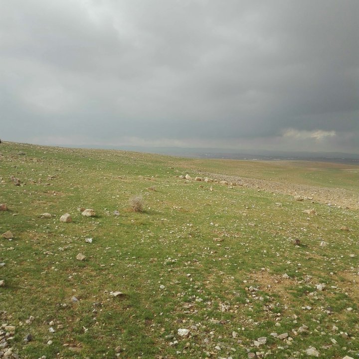 My Crowdsourcing Posts