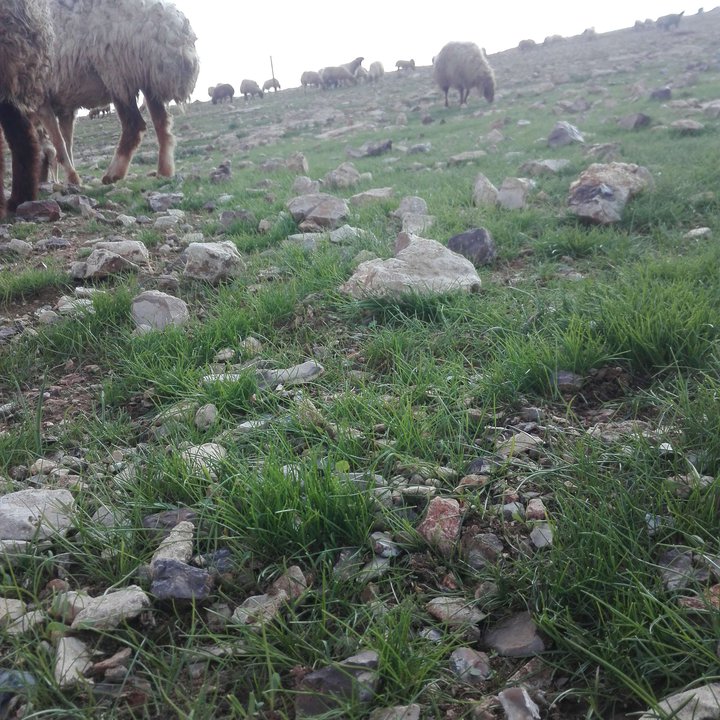 My Crowdsourcing Posts