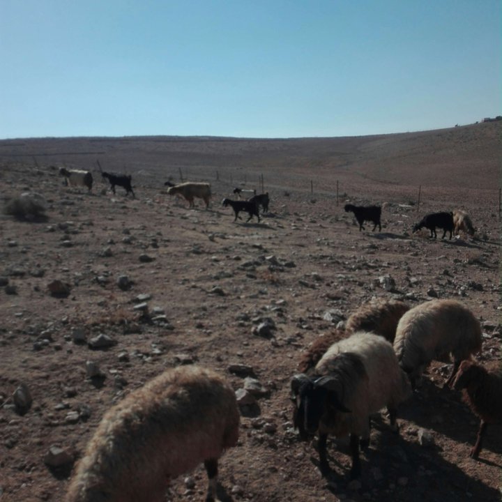 My Crowdsourcing Posts