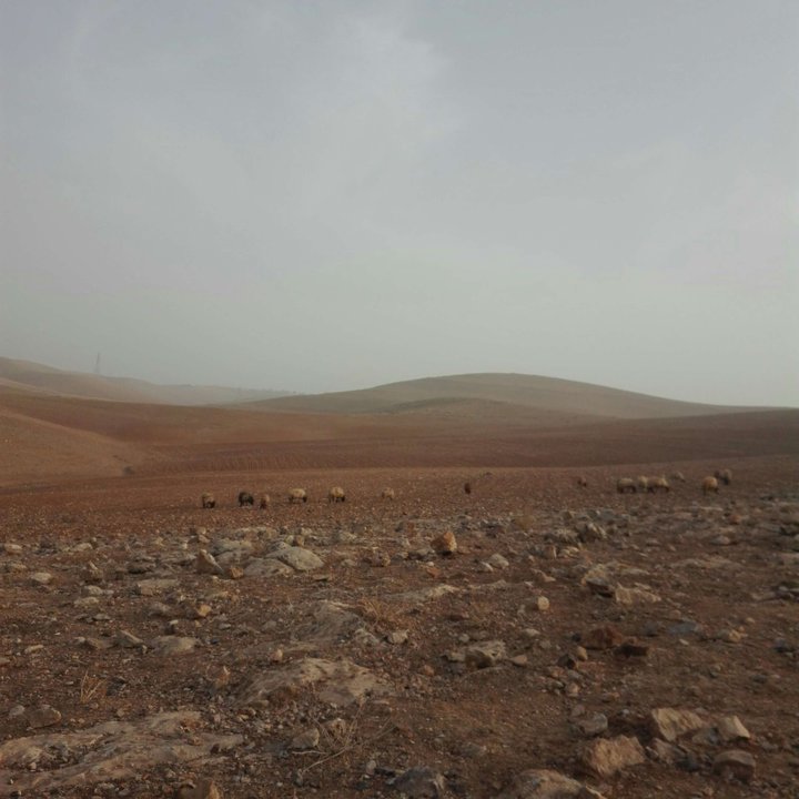 My Crowdsourcing Posts