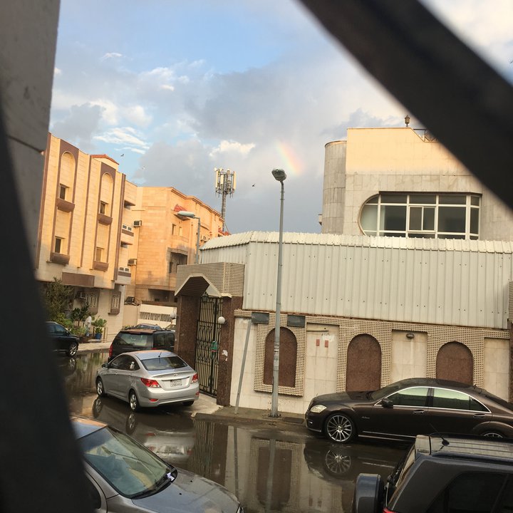 مشاركاتي في أنت الراصد