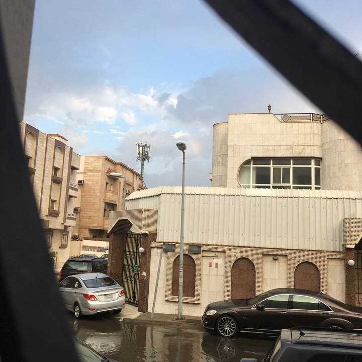 مشاركاتي في أنت الراصد