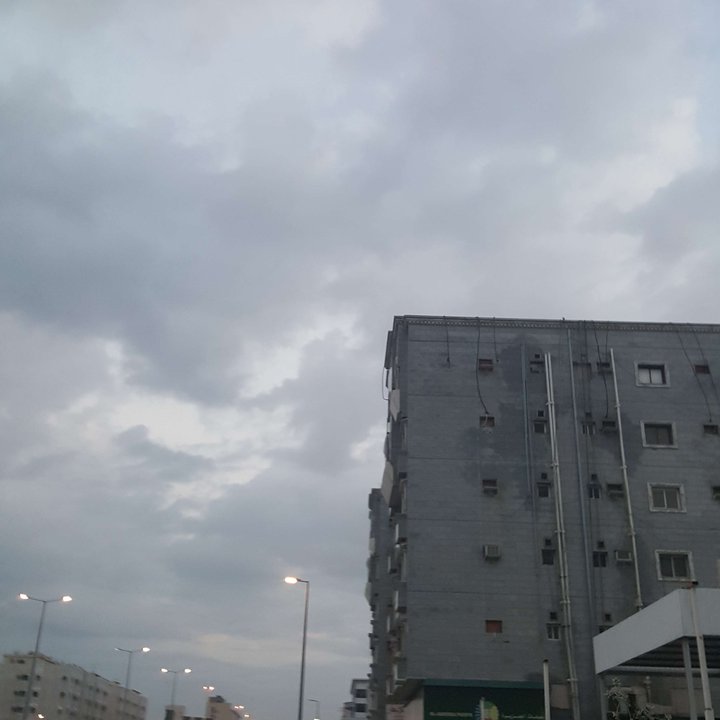 مشاركاتي في أنت الراصد