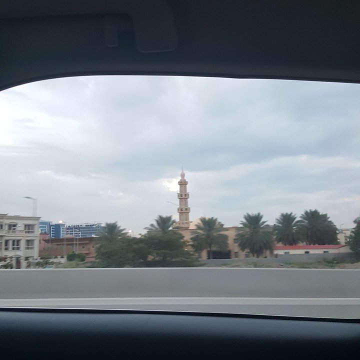 مشاركاتي في أنت الراصد