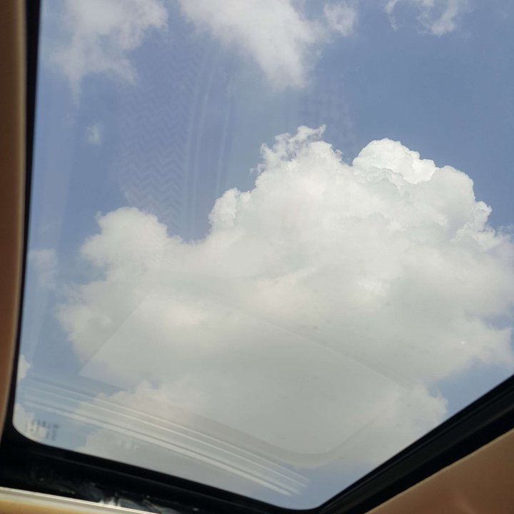 مشاركاتي في أنت الراصد