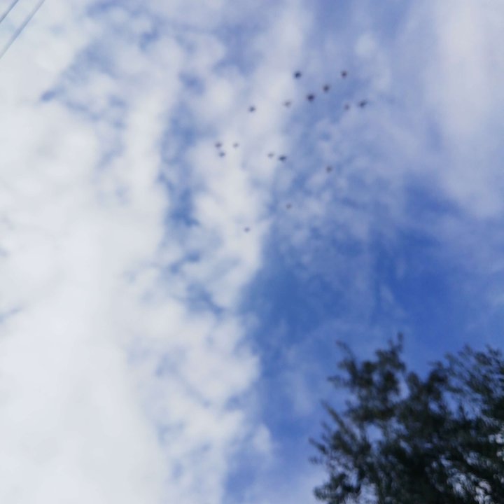 My Crowdsourcing Posts