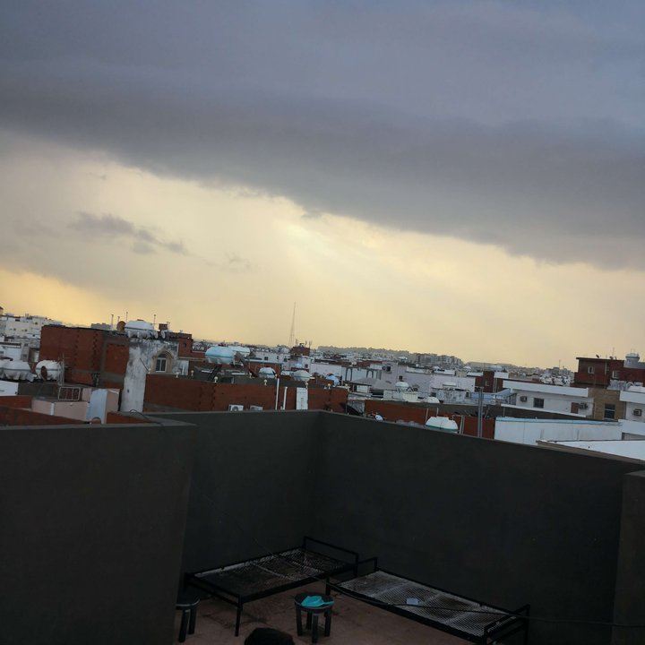 مشاركاتي في أنت الراصد