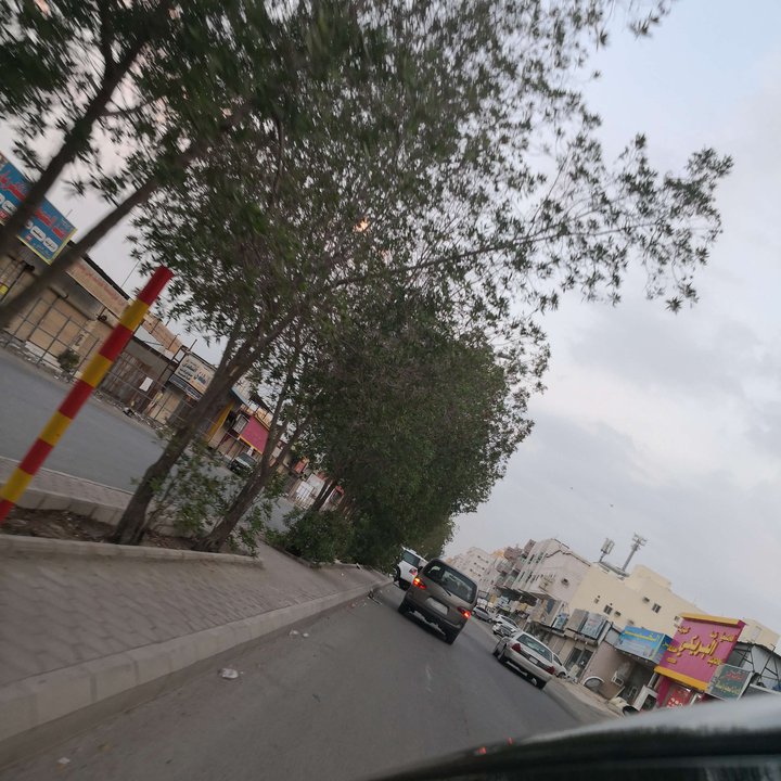 مشاركاتي في أنت الراصد