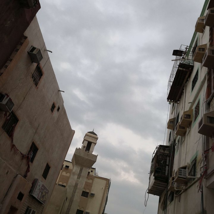 مشاركاتي في أنت الراصد