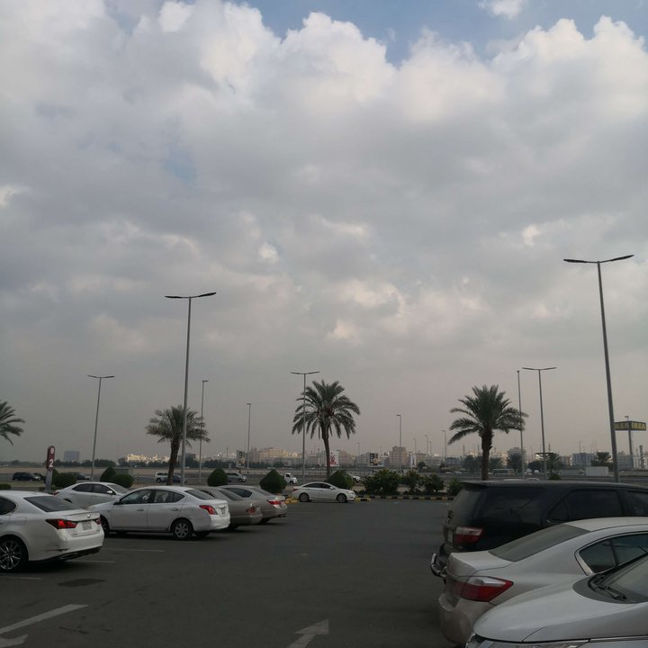 مشاركاتي في أنت الراصد