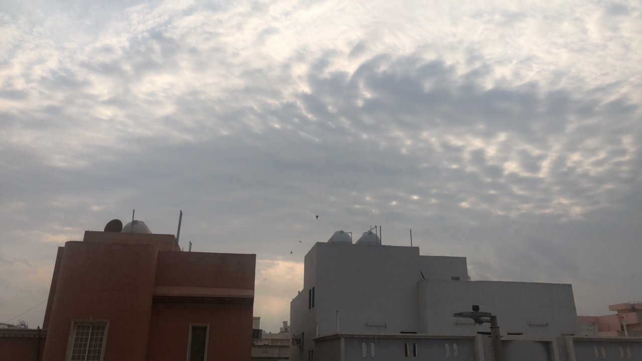 مشاركاتي في أنت الراصد