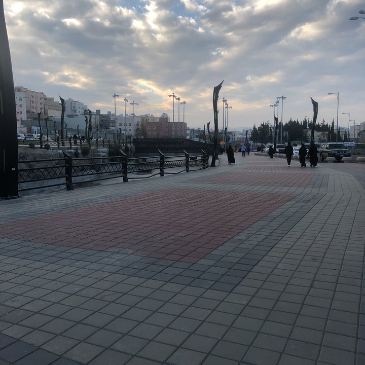 مشاركاتي في أنت الراصد