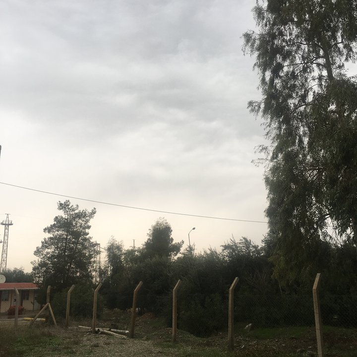 مشاركاتي في أنت الراصد