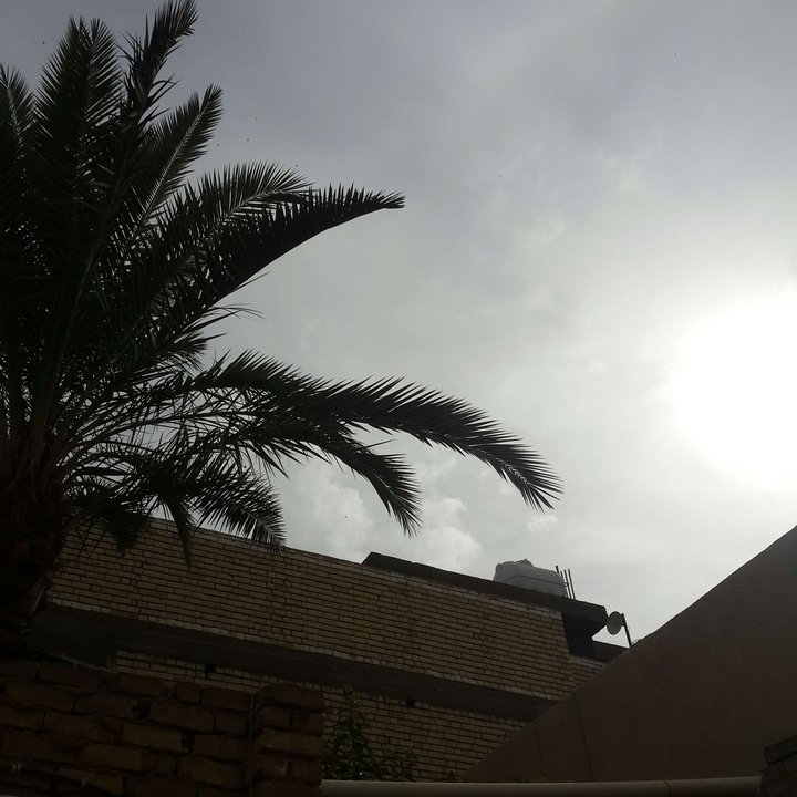 مشاركاتي في أنت الراصد