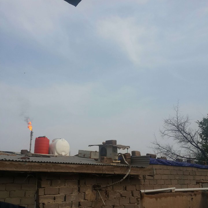 مشاركاتي في أنت الراصد