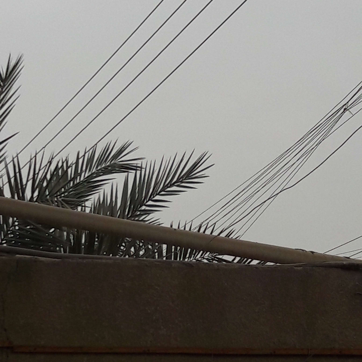 مشاركاتي في أنت الراصد