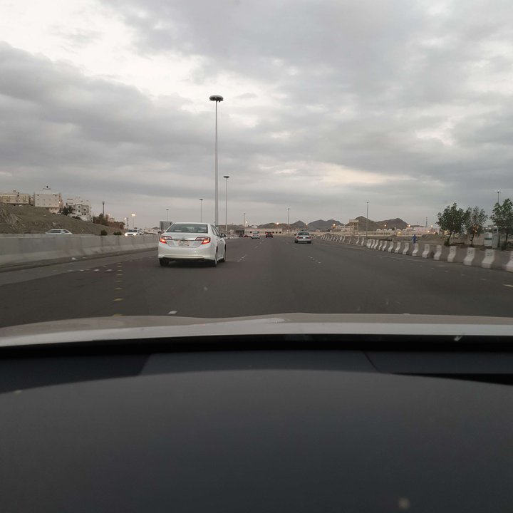 مشاركاتي في أنت الراصد