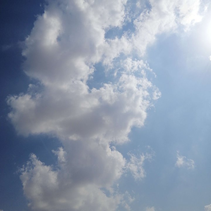 مشاركاتي في أنت الراصد