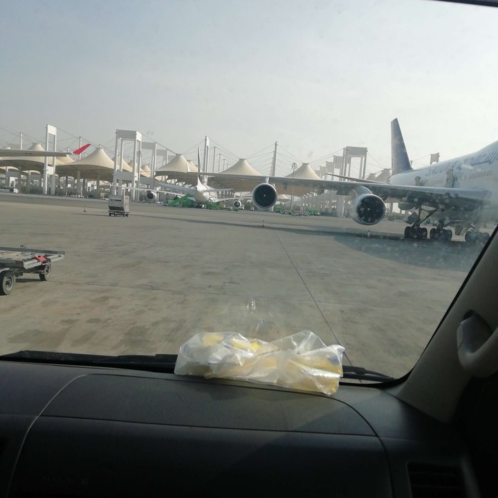 مشاركاتي في أنت الراصد