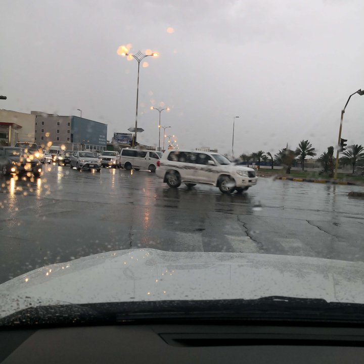 مشاركاتي في أنت الراصد