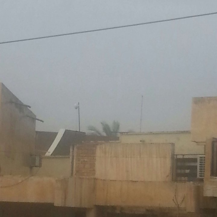 مشاركاتي في أنت الراصد