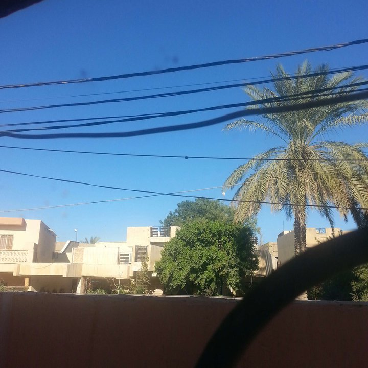 مشاركاتي في أنت الراصد