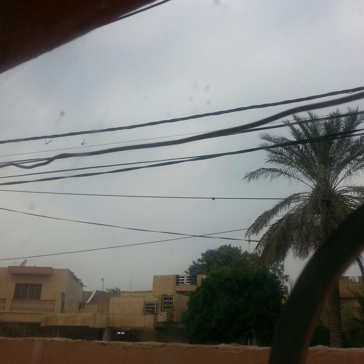 مشاركاتي في أنت الراصد