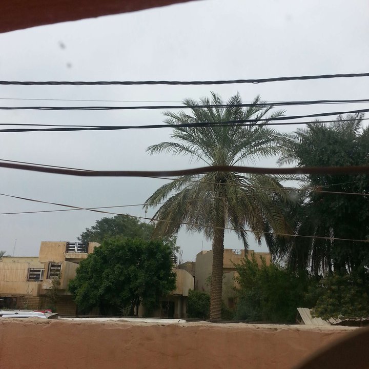 مشاركاتي في أنت الراصد