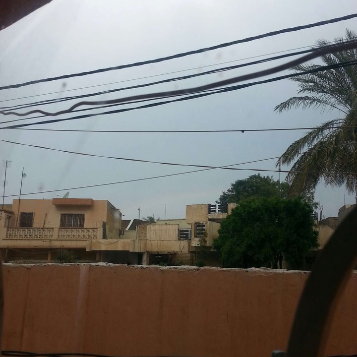 مشاركاتي في أنت الراصد