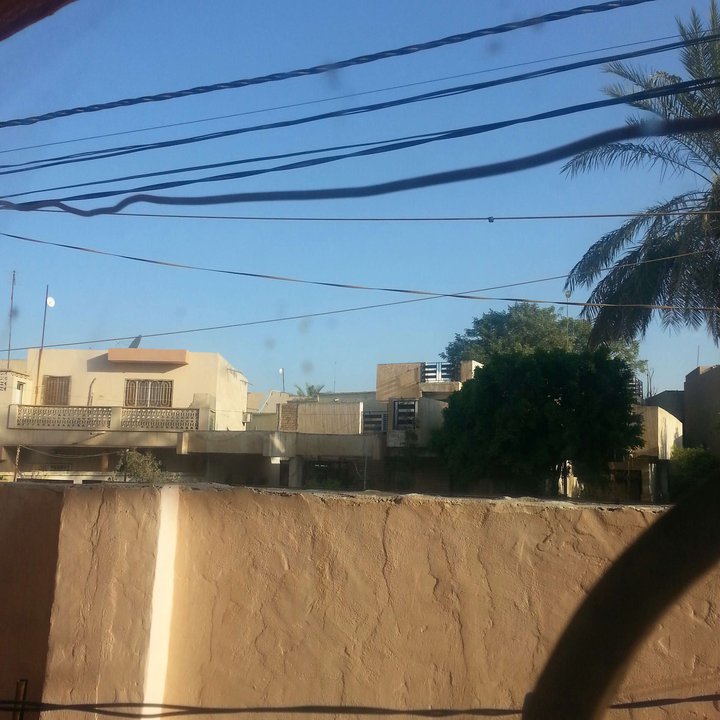 مشاركاتي في أنت الراصد