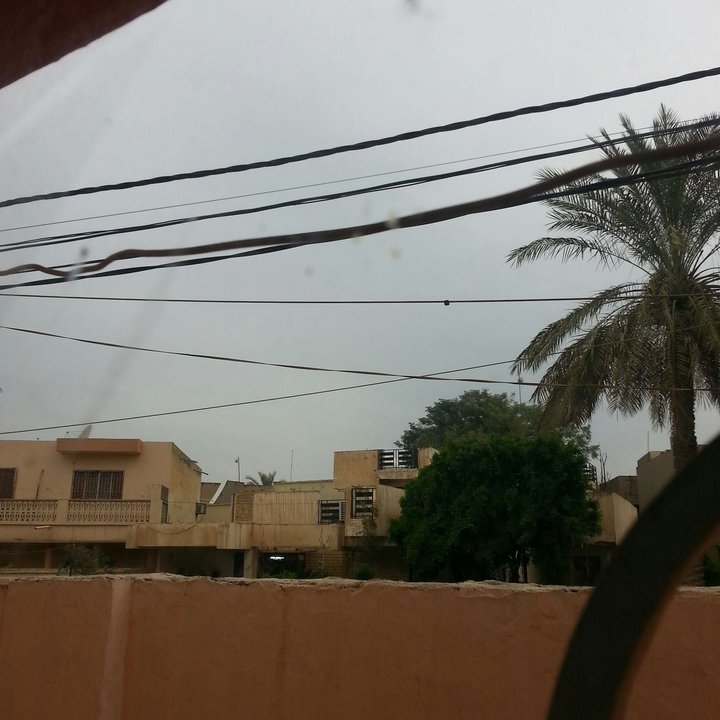 مشاركاتي في أنت الراصد