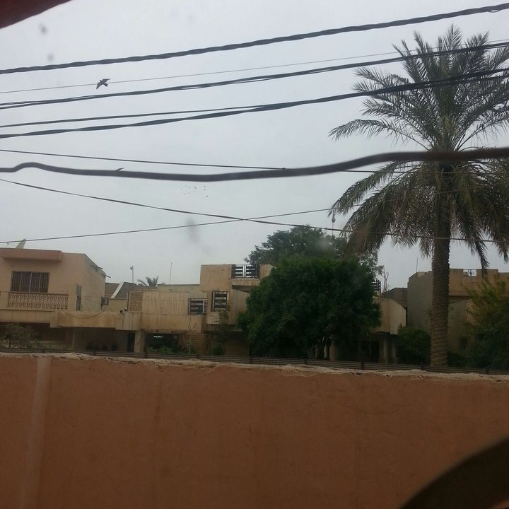 مشاركاتي في أنت الراصد