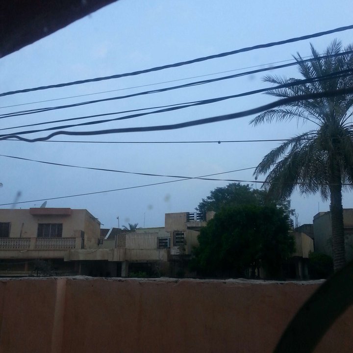 مشاركاتي في أنت الراصد