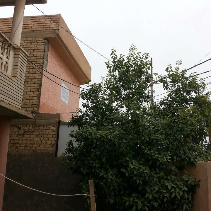 مشاركاتي في أنت الراصد