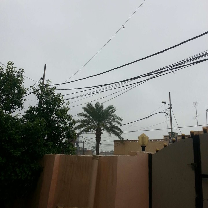 مشاركاتي في أنت الراصد