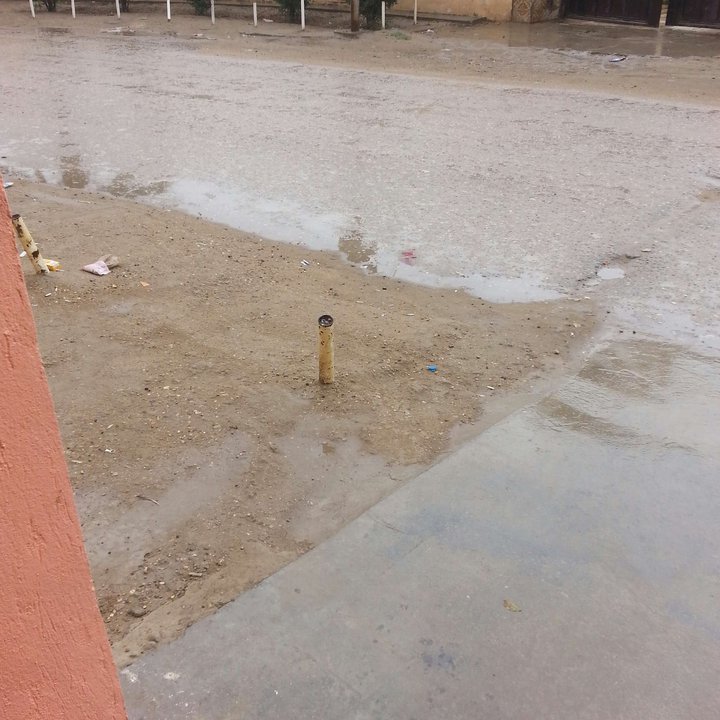 مشاركاتي في أنت الراصد