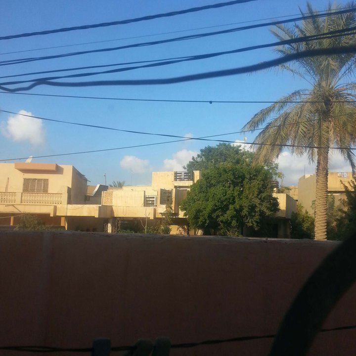 مشاركاتي في أنت الراصد