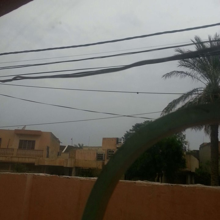 مشاركاتي في أنت الراصد