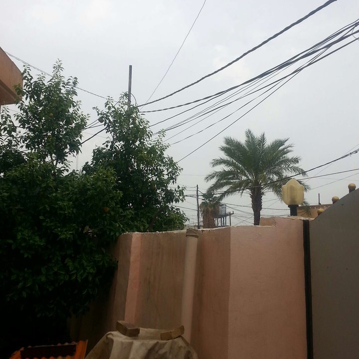 مشاركاتي في أنت الراصد