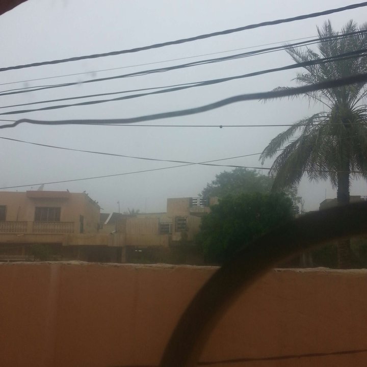 مشاركاتي في أنت الراصد