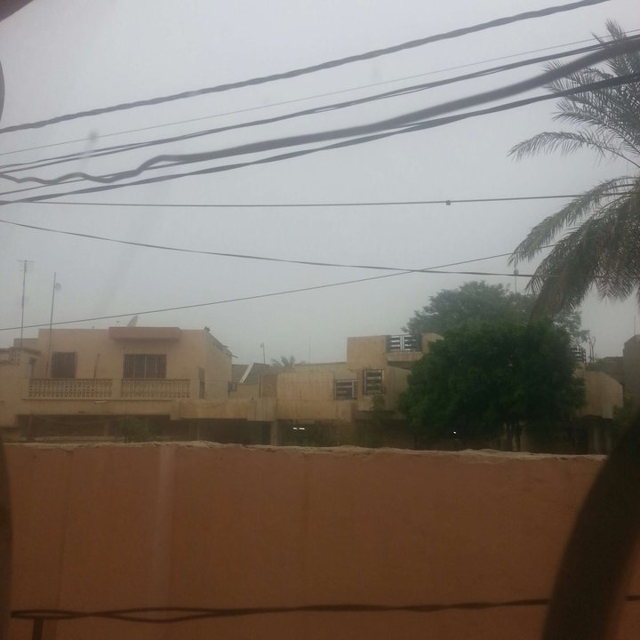 مشاركاتي في أنت الراصد