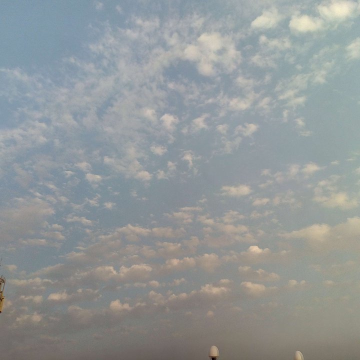 مشاركاتي في أنت الراصد