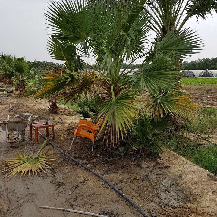 My Crowdsourcing Posts