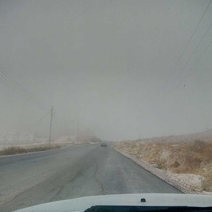 مشاركاتي في أنت الراصد