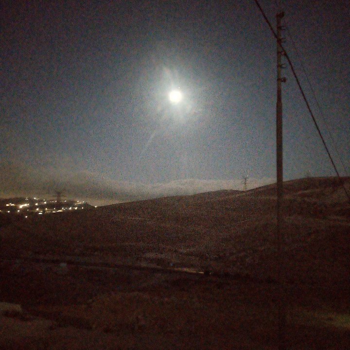 مشاركاتي في أنت الراصد